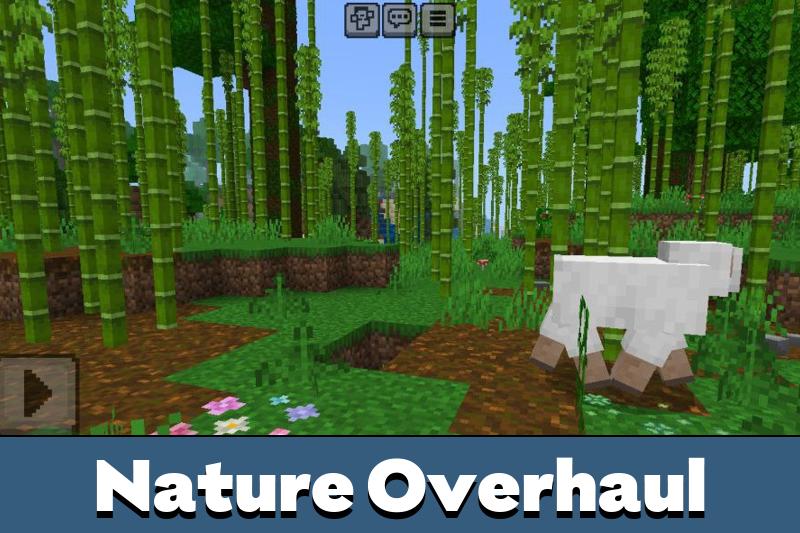 Realistic World 5