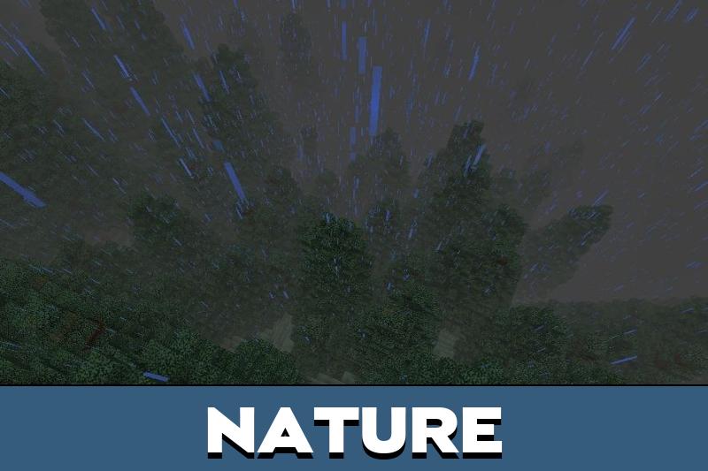 Washington Map 5