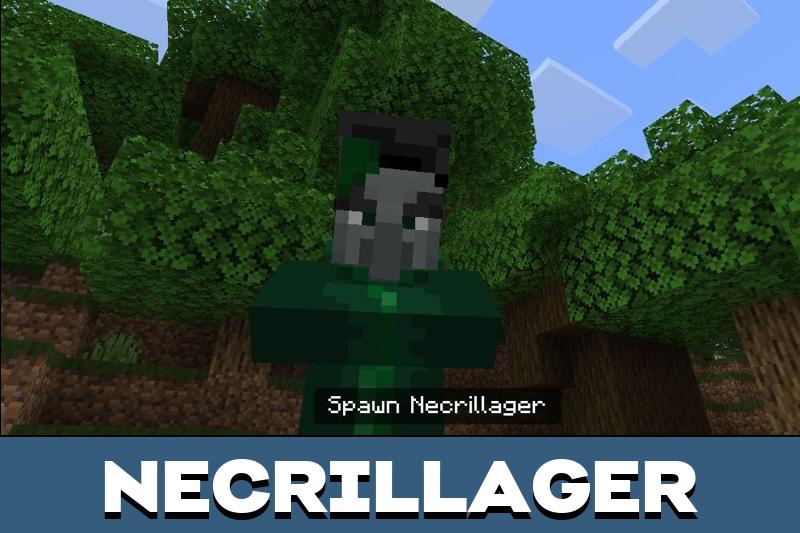 Illager 1
