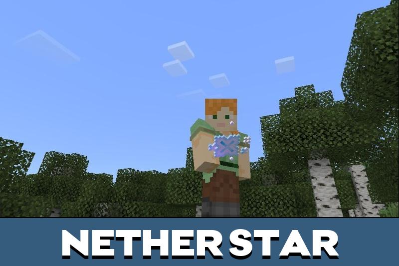 Explorer Texture Pack 3
