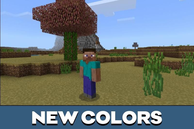 Seasons 2