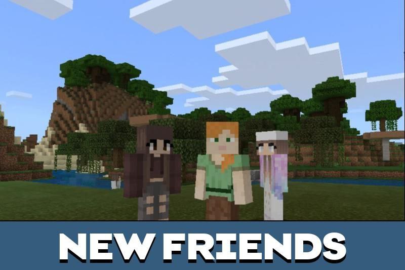 Custom NPC 2