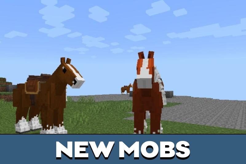 Horse 3