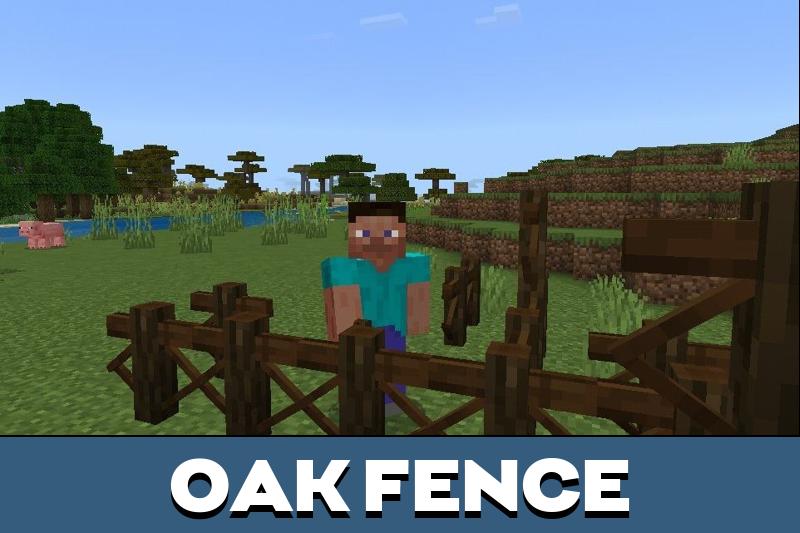 Fence 2