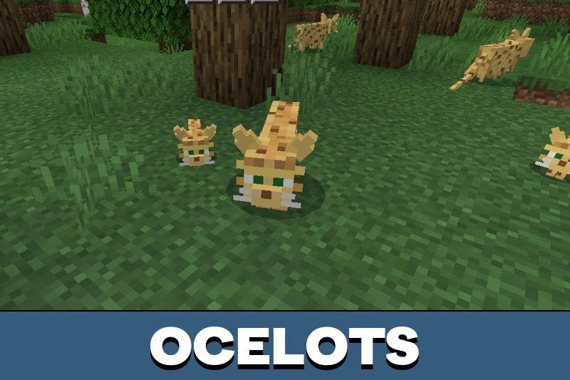 Cat Texture Pack 1
