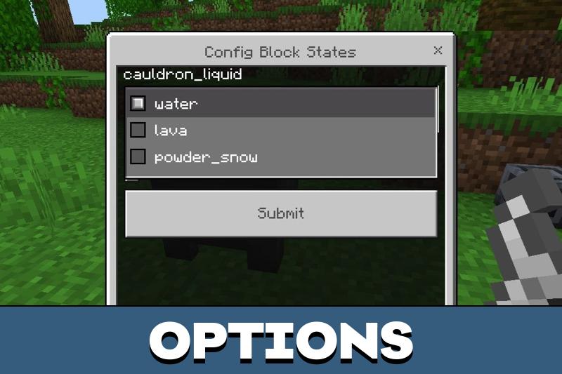 Block Permutation Controller 2