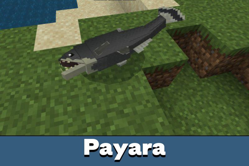 River Monsters 4