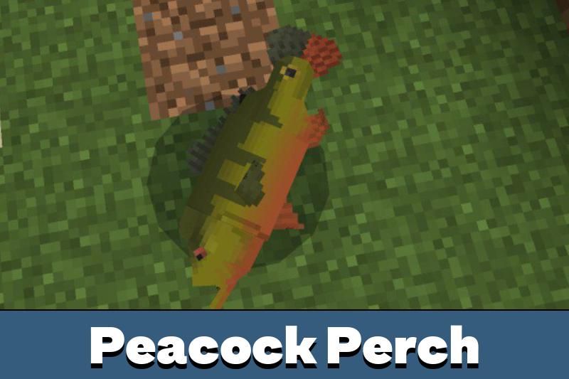 River Monsters 3
