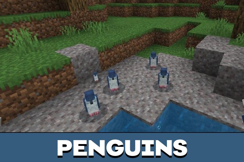World Animals 1