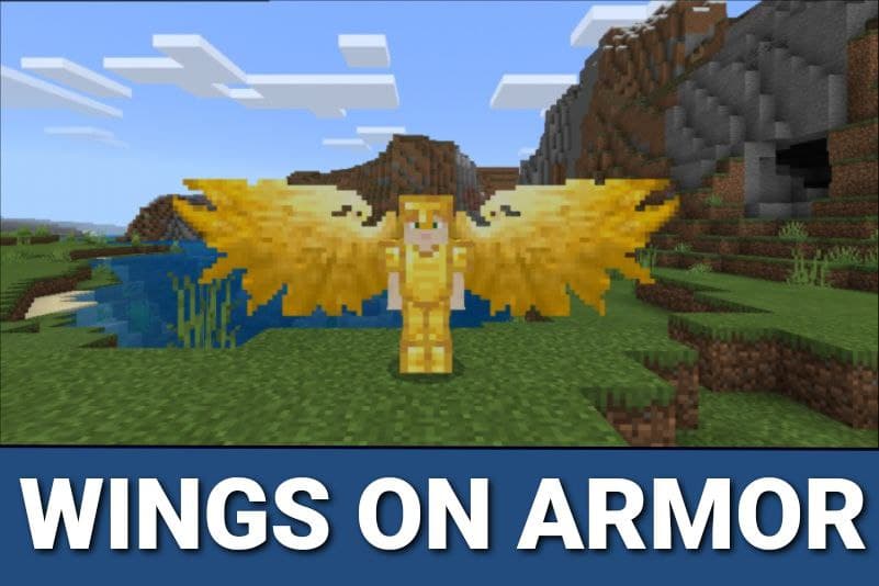 Wings 1