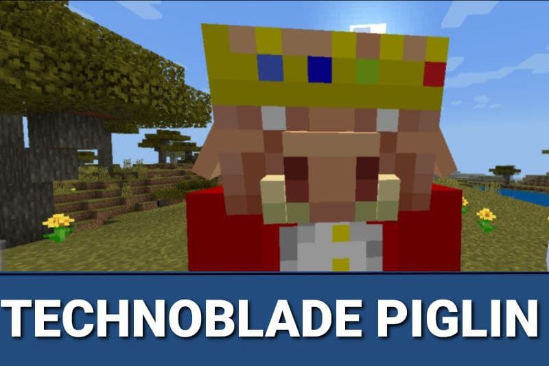 Technoblade Resource Pack 4