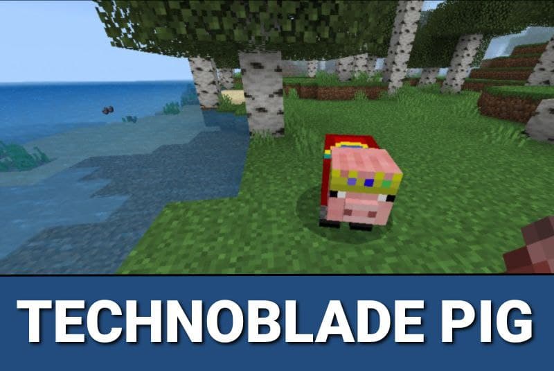 Technoblade Resource Pack 3
