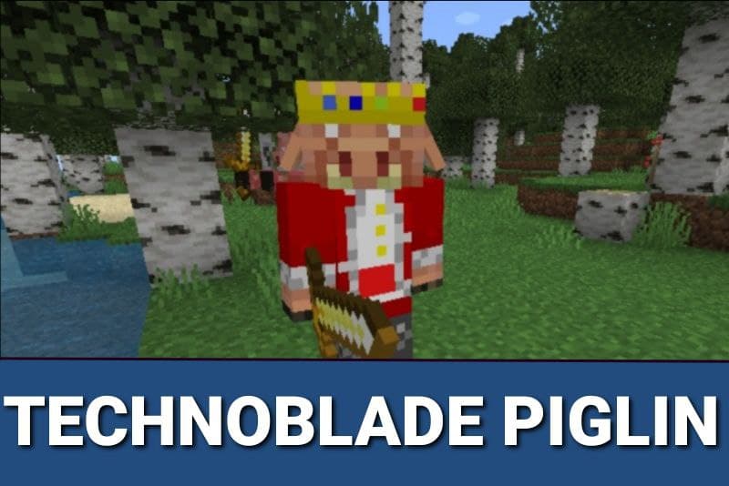 Technoblade Resource Pack 2