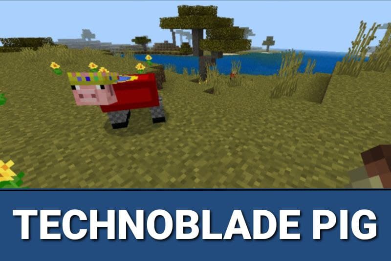 Technoblade Resource Pack 1