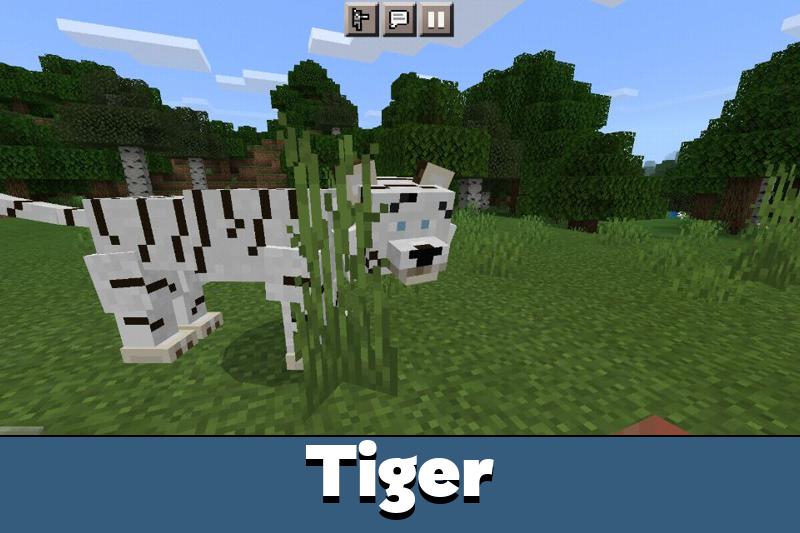 Cat 4