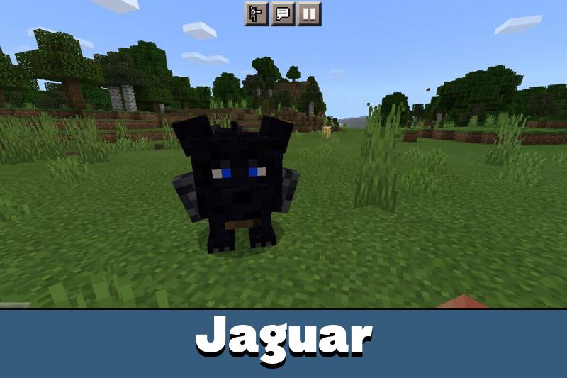 Cat 3