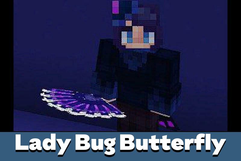 Lady Bug 3