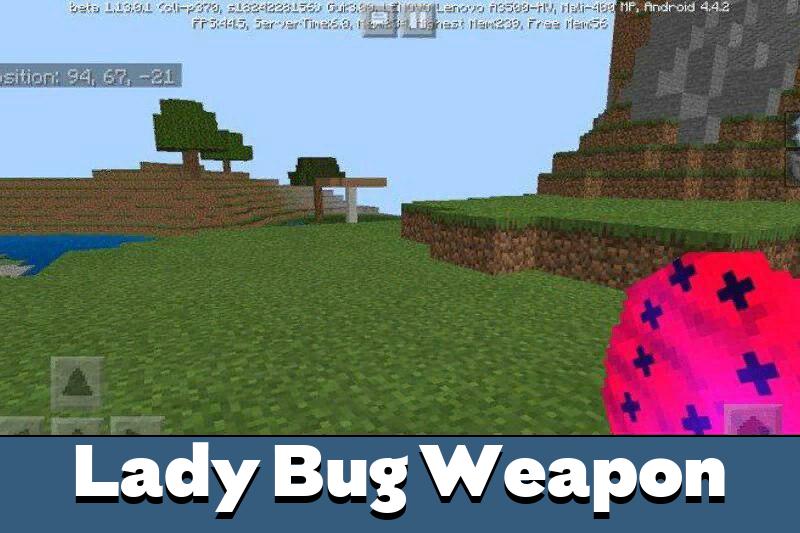 Lady Bug 5