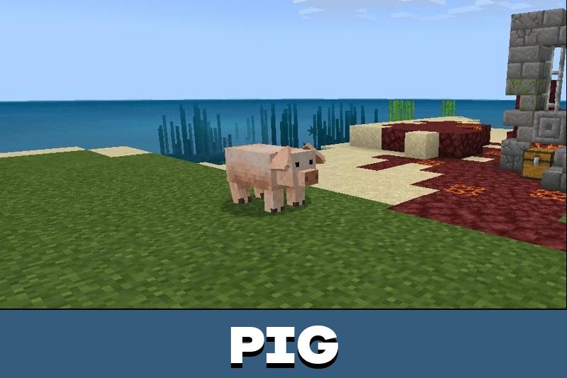Animal Texture Pack 1