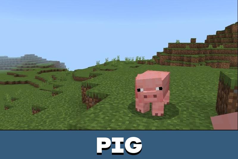 Mobs Animation 1