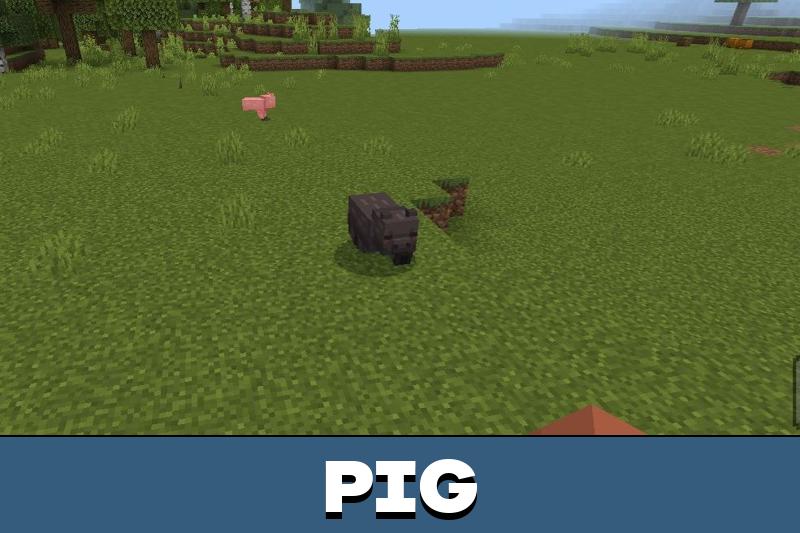 Txymes Cottagecore Texture Pack 5