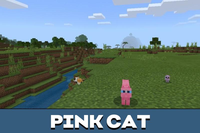 Cat Texture Pack 5