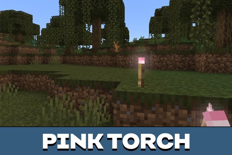 Dynamic Torch 2