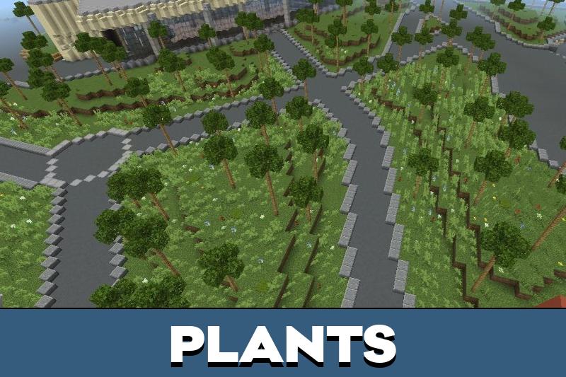 Amusement Park Map 5