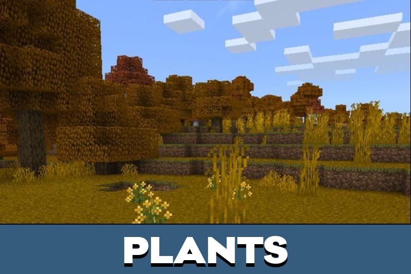 Autumn Texture Pack 5