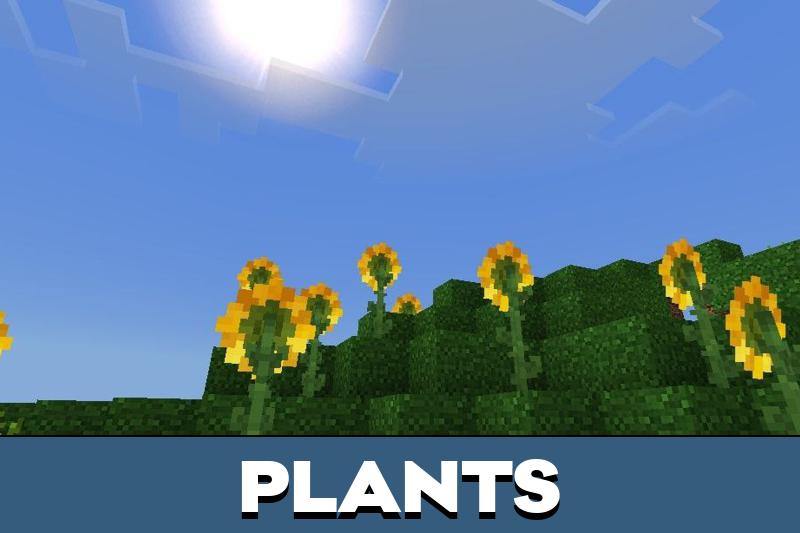 Console Shader 3