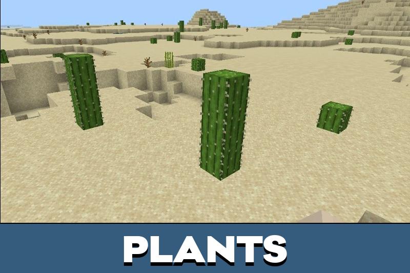 Desert 3