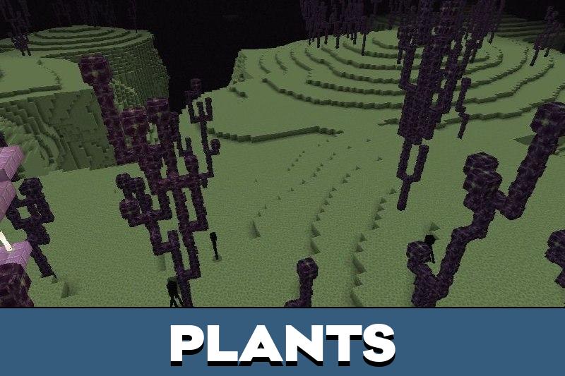 Ender World 1