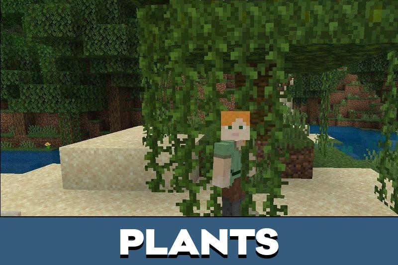 Jungle 3
