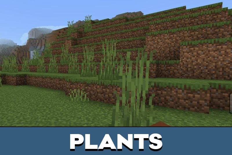 Leaves Texture Pack 2