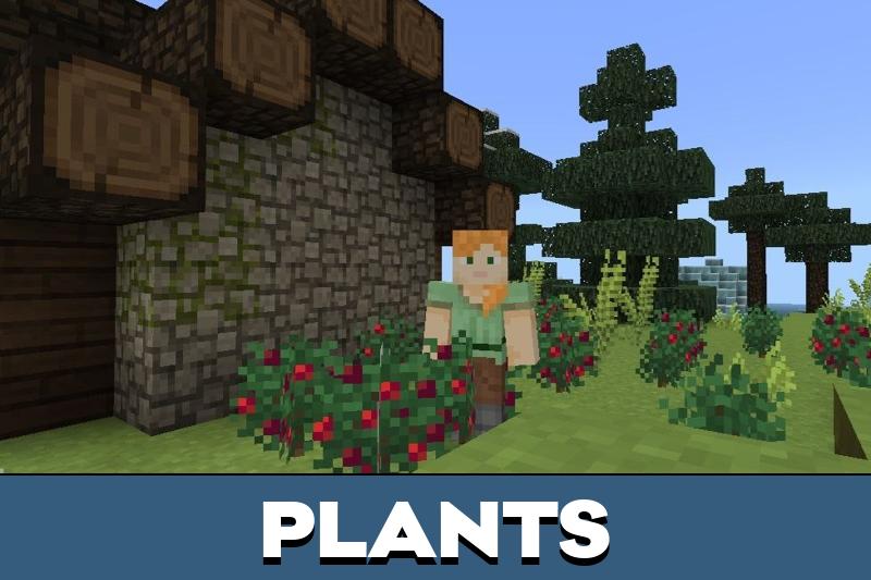 Medieval Texture Pack 4