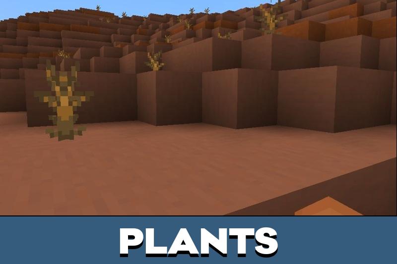 Newb X Ale Shader 1