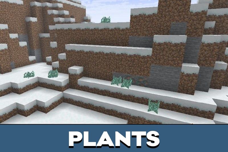 NRRDS Shader 4
