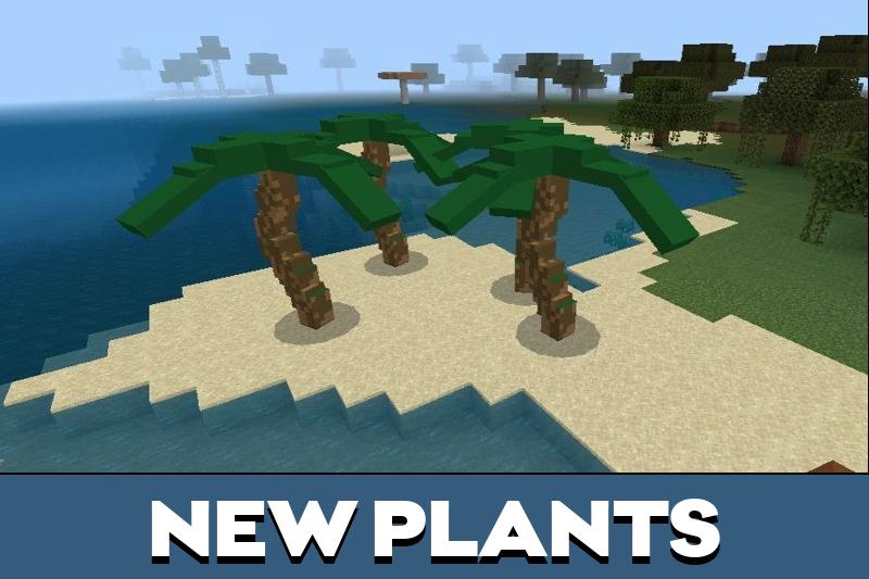Palm Trees 2