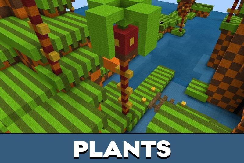 Sonic Map 4