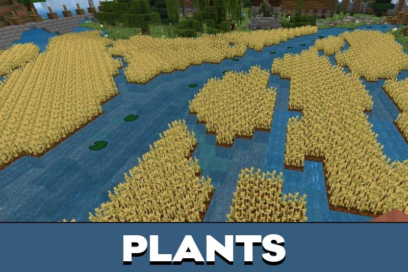 Village Maps 4