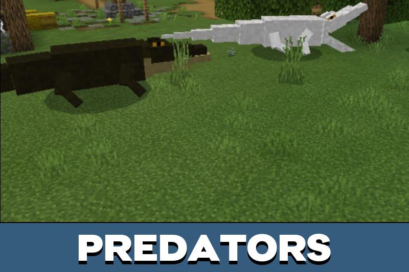 Crocodile 3