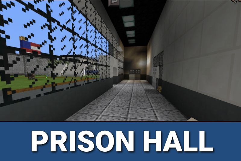 Cops and Robbers Map 4