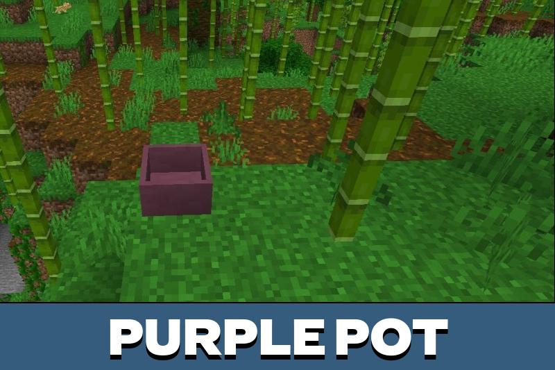Botany Pots 1