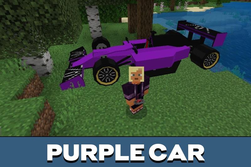 Formula 1 3