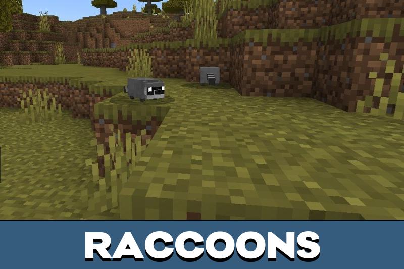 Tacos Critters 5