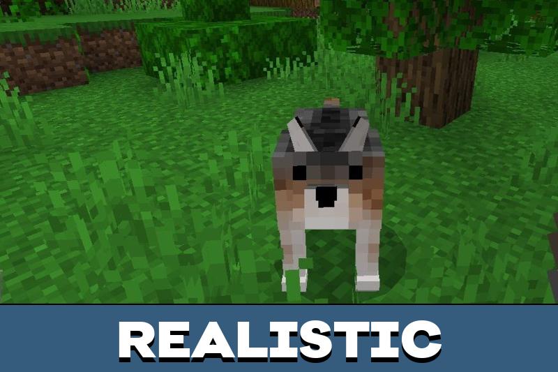 Dog Texture Pack 1