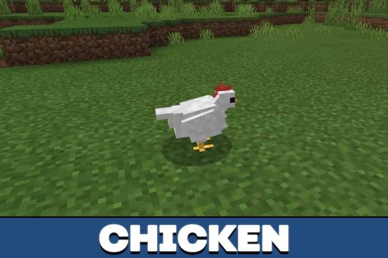 Realistic Texture Pack 3