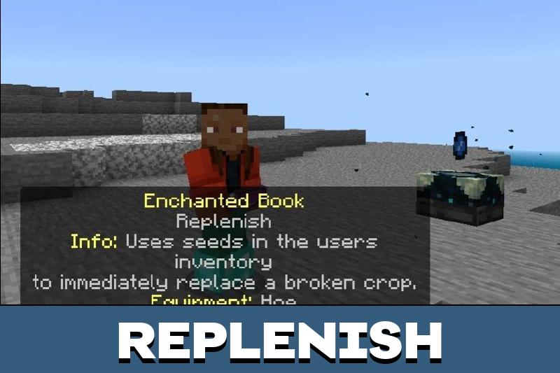 Hogs Enchants 4