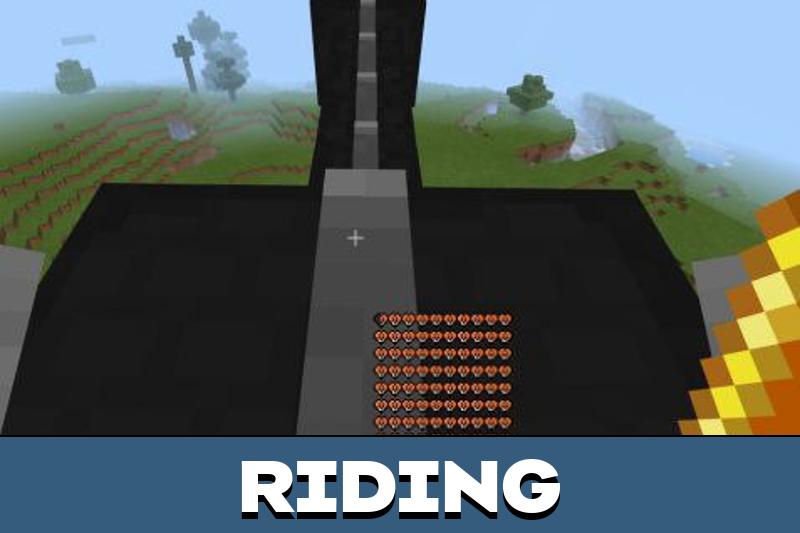 Ender Dragon 4