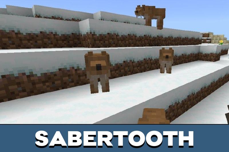Far North 1